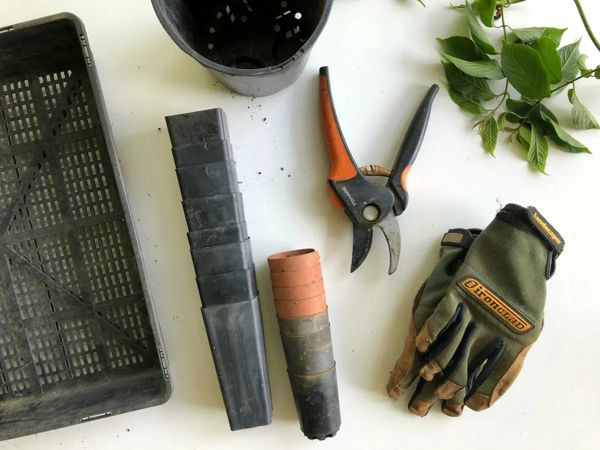 10 Back-Saving Garden Tools Every Smart Gardener Needs in 2025 - author article