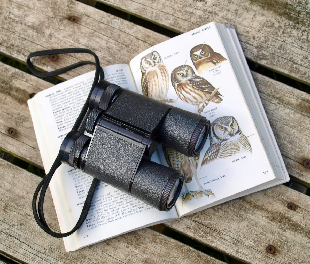Top Binoculars for Birding & Nature Enthusiasts: 2025 Guide - author article